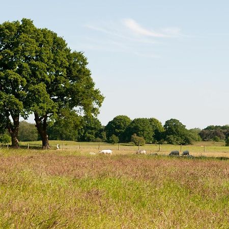 De Rheezer Kamer Hardenberg Esterno foto