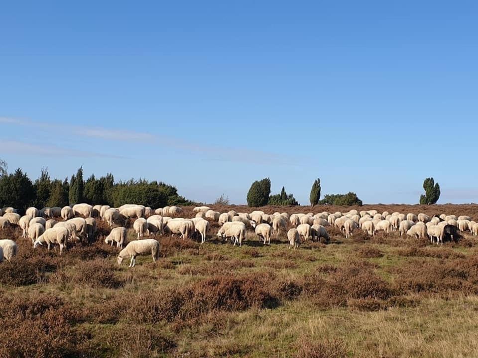 De Rheezer Kamer Hardenberg Esterno foto